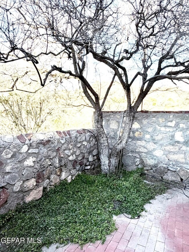 Building Photo - 6035 Bandolero Dr