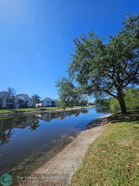 Building Photo - 2659 Carambola Cir N