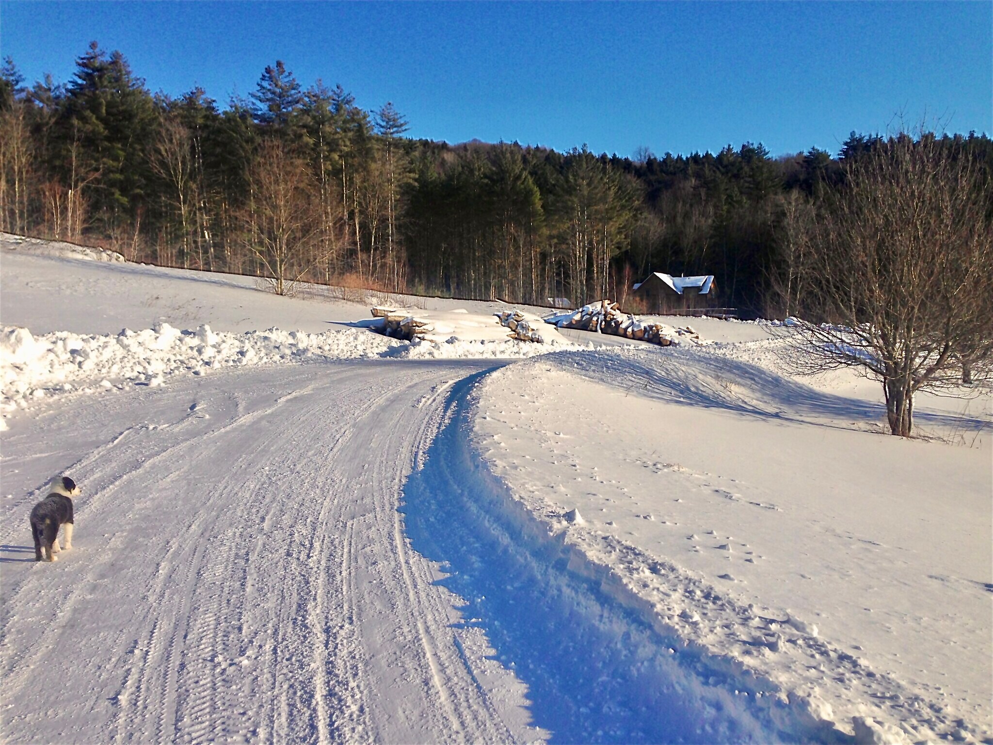 Building Photo - 475 Black Bear Holw