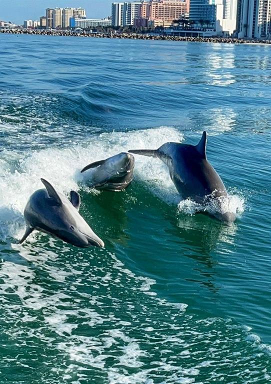 Building Photo - 1999 Kings Hwy