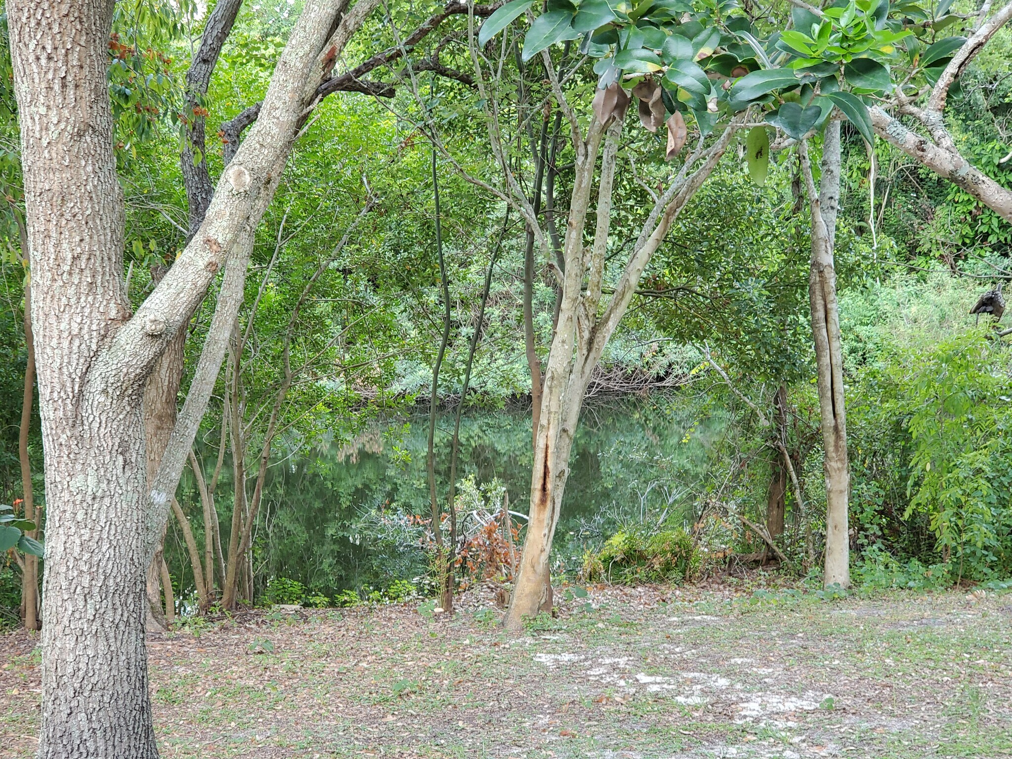 Building Photo - 4331 Deermont Cir