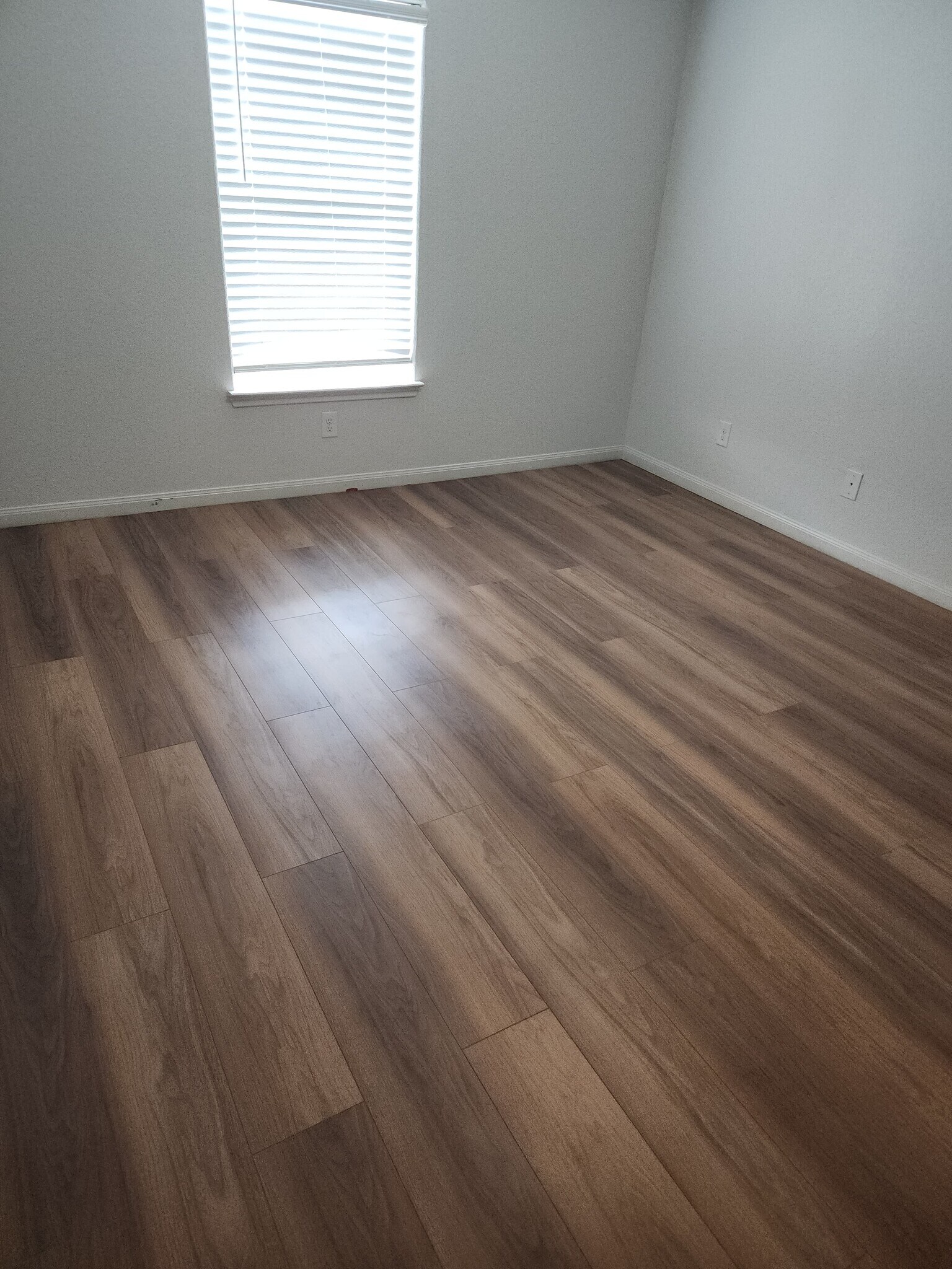 Building Photo - 11415 Luckey Ledge
