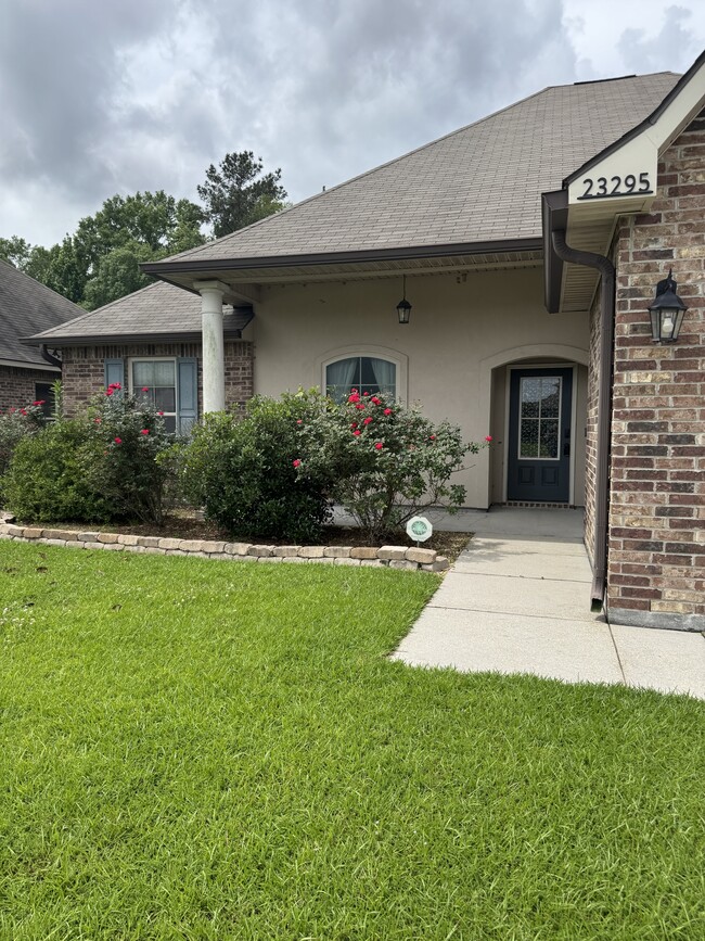 Building Photo - 23295 Mango Dr