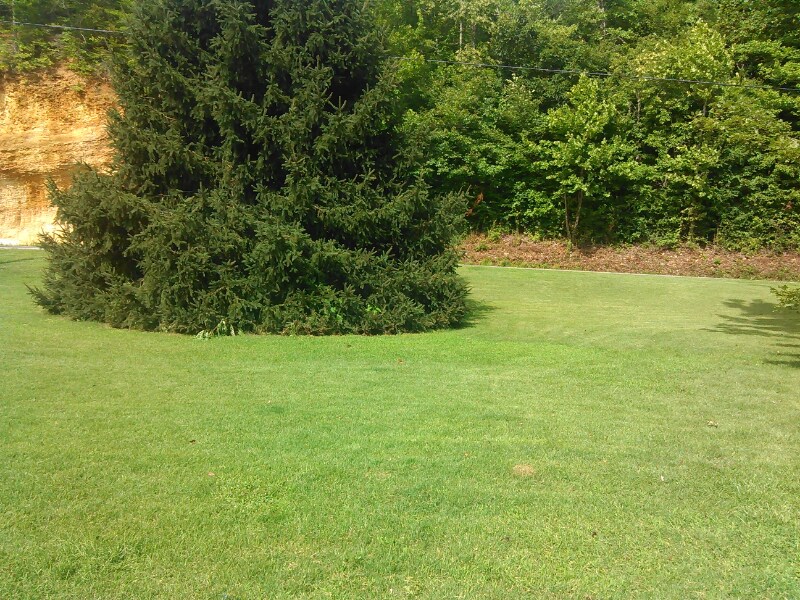 Building Photo - 8310 Middle Butler Rd