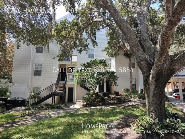 Primary Photo - Luxurious Palm Harbor Condo with Resort-St...