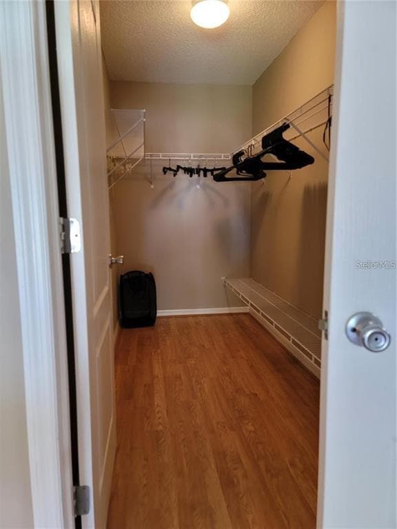 Building Photo - 1317 Jimenez Ct