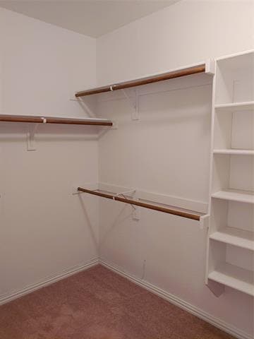 Building Photo - 1104 Paluxy Ln