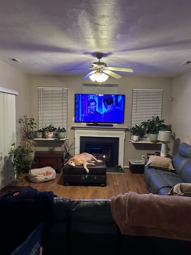 Building Photo - 243 Gimbert Dr