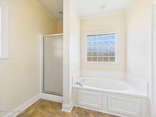 Building Photo - 236 Shadowbrush Bend