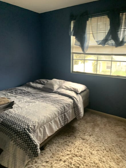 Primary Photo - 146 Plumage Ln