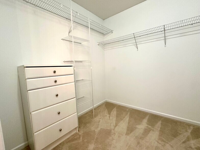 Building Photo - 3129 Summerfield Ridge Ln