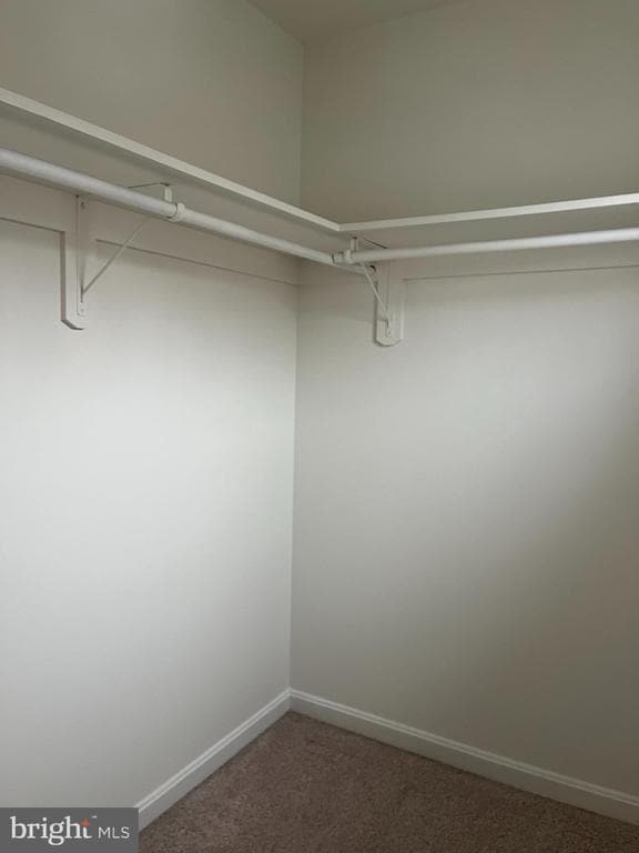 Building Photo - 20 Mabel Ln