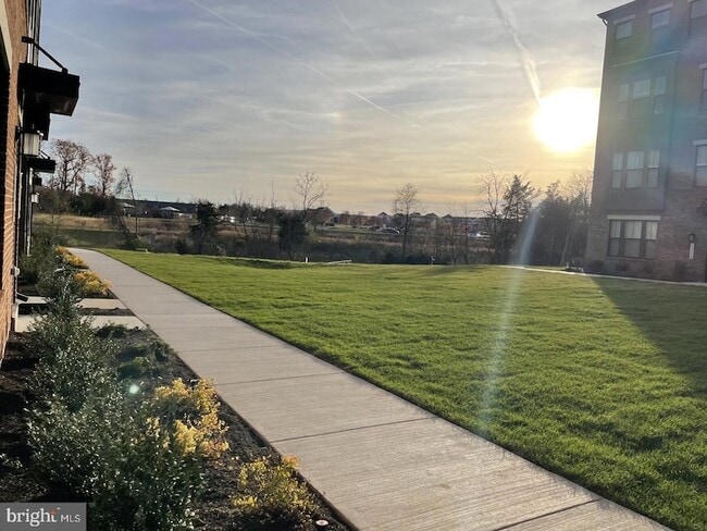 Building Photo - 43357 Radford Divide Ter