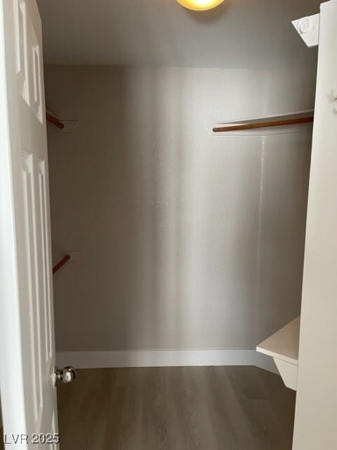 Building Photo - 8405 Luna Bay Ln