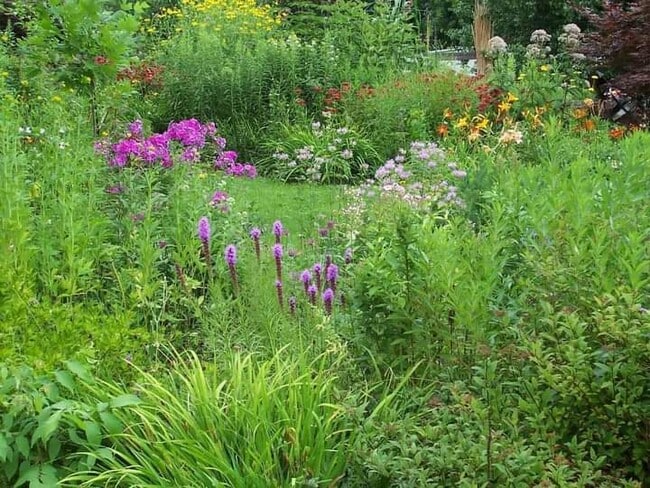 Building Photo - 3 Orchard Ln