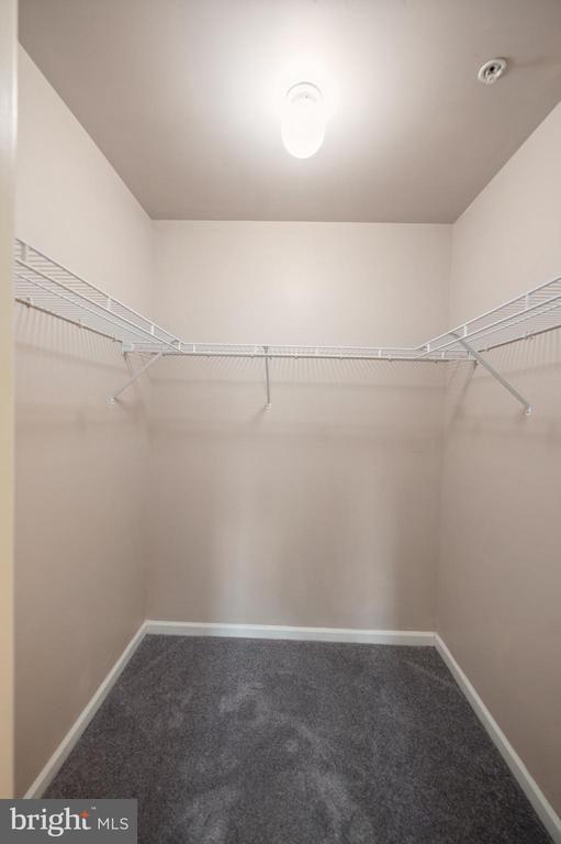 Building Photo - 1408 Black Walnut Dr