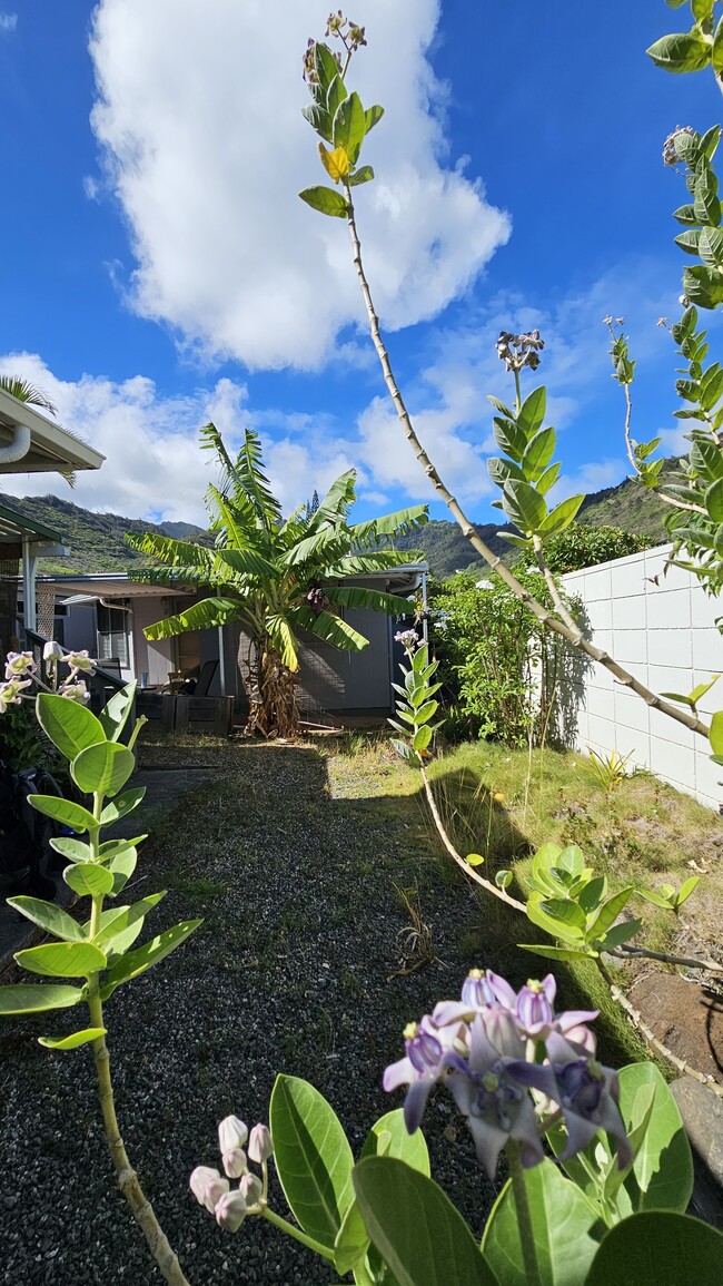 Building Photo - 441 Kuliouou Rd