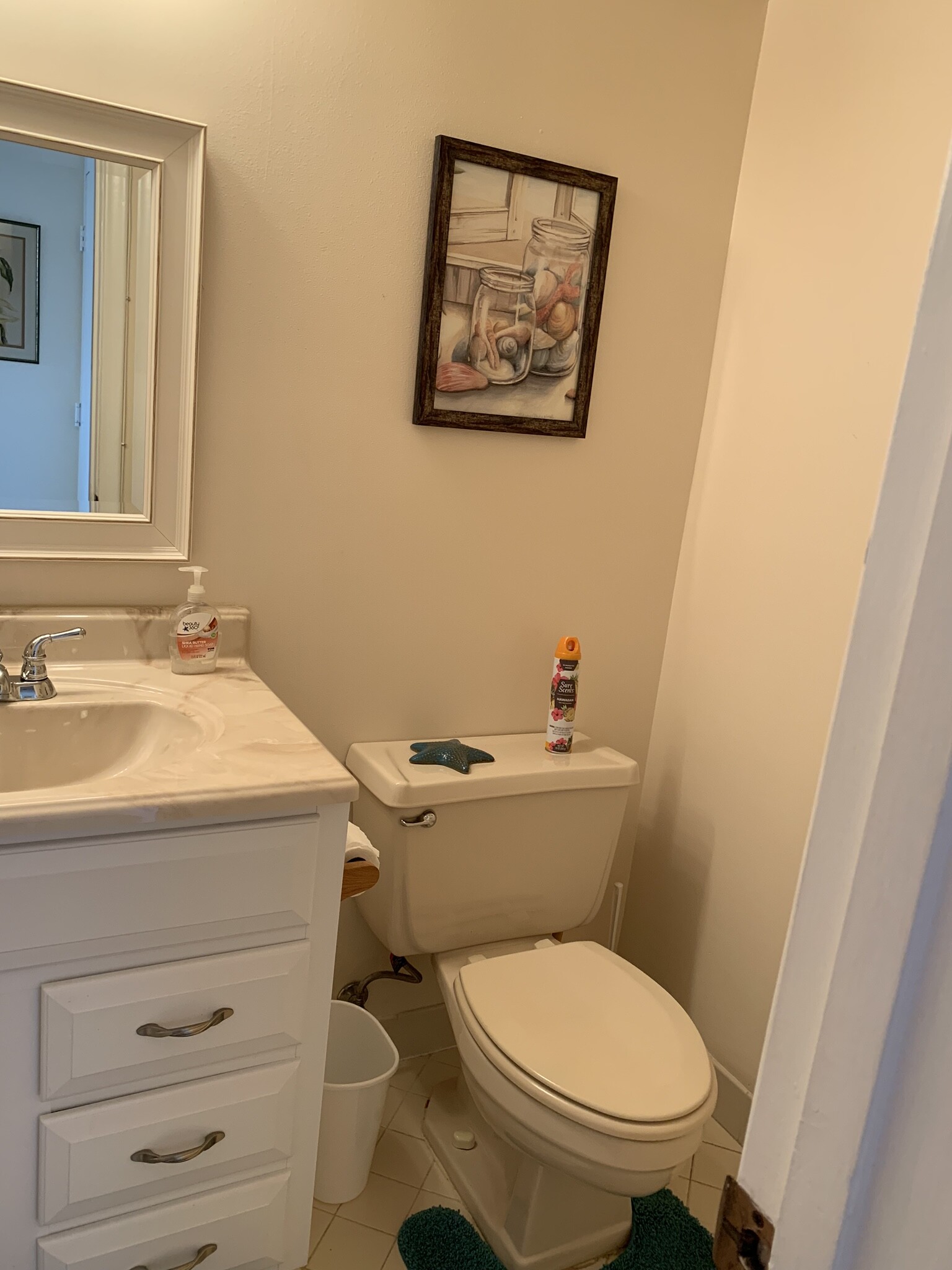 1/2 bath for guests - 6219 Palma Del Mar Blvd S