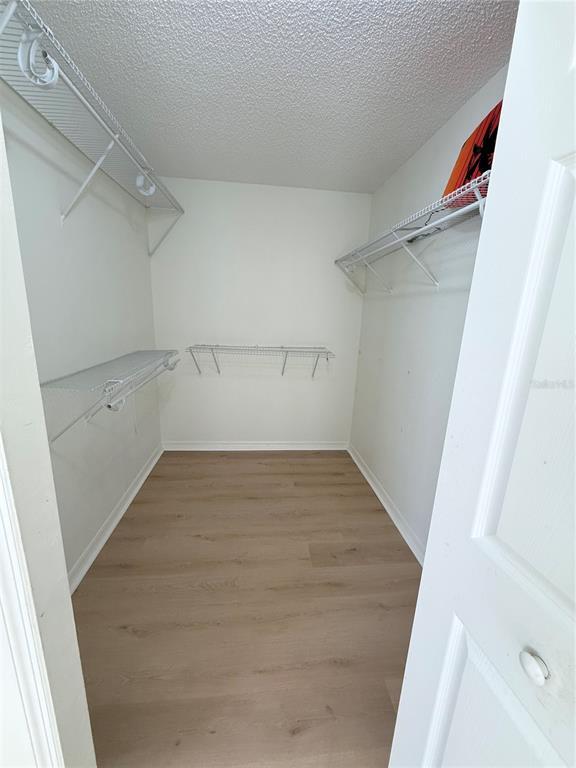 Building Photo - 8813 Magnolia Ct