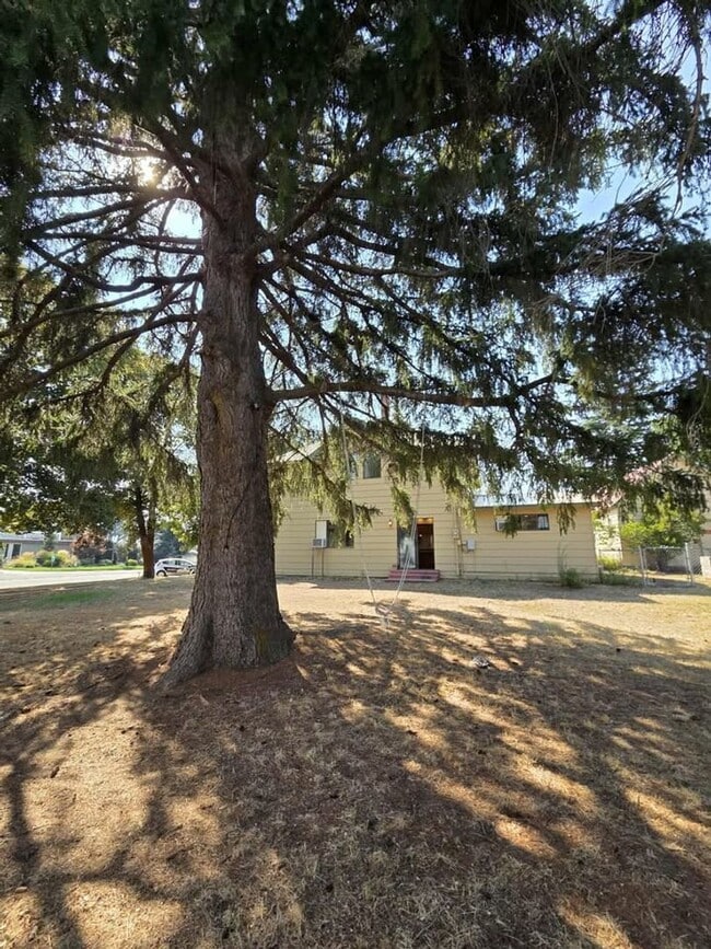 Building Photo - Large 4 Bedroom 2 Bath in Quaint Waterville