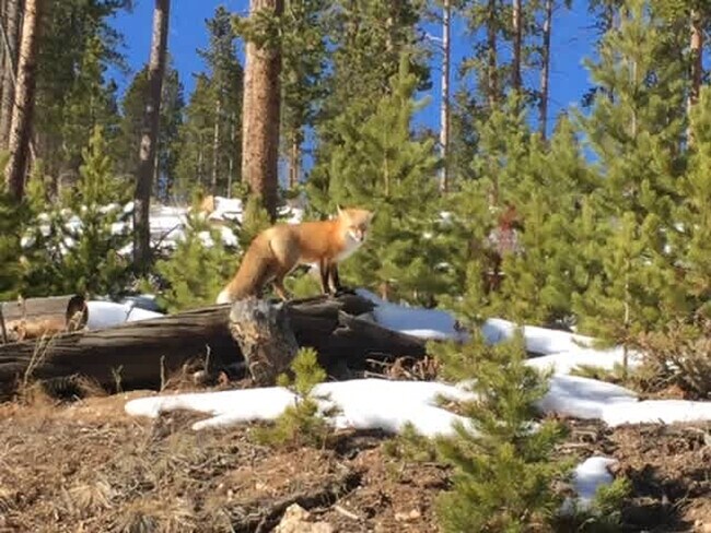 Building Photo - 157 Independence Cir