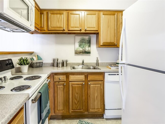 orion dishwasher review