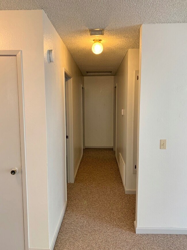 Building Photo - 805 Avon Ct