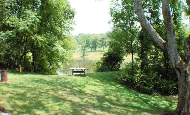 Building Photo - "Charming 3-Bed Retreat with Finished Basement & Fireplace in Scenic Mills River!" Furnished