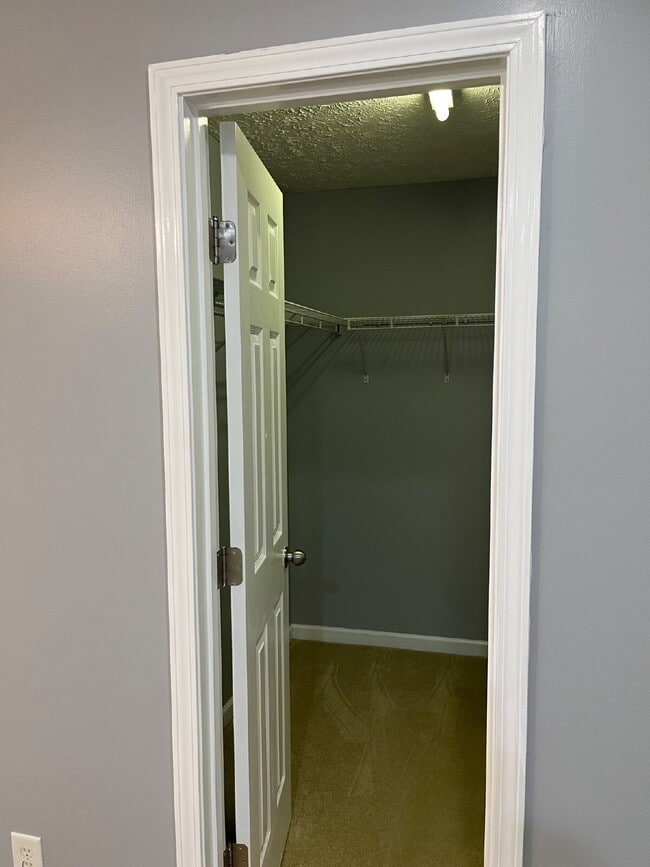 Building Photo - 2011 Orlimar Ct