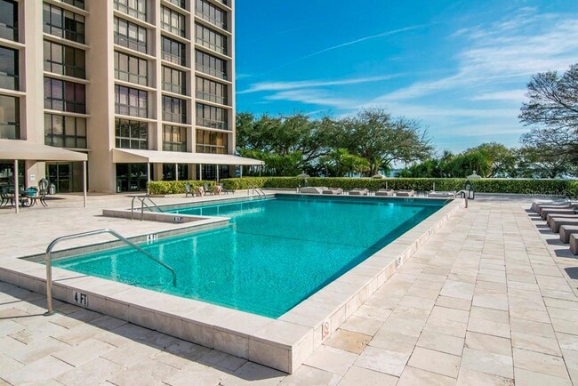 Pool - 3301 Bayshore Blvd