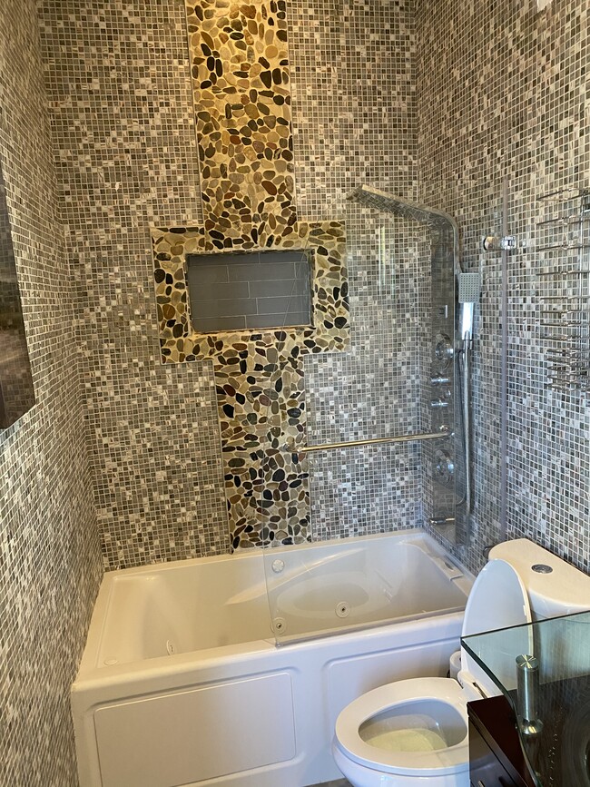 Master Bathroom Jacuzzi Tub/Shower - 408 W Queen St