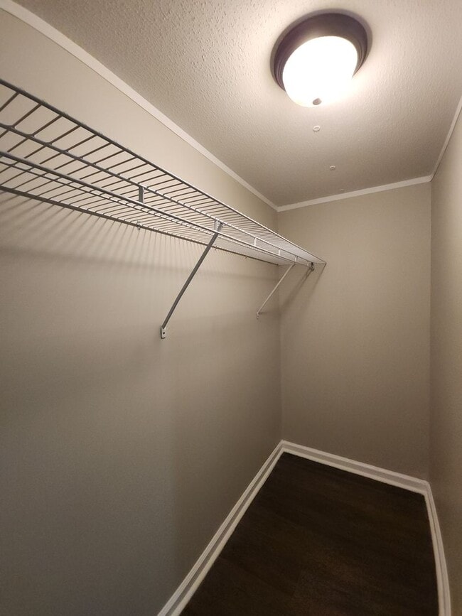 Building Photo - 4 Elcona St