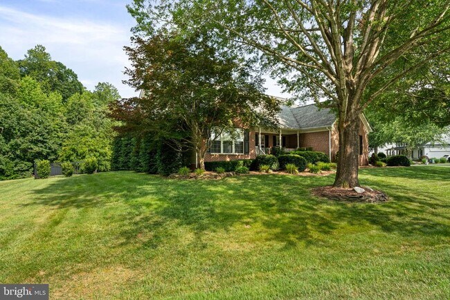 Building Photo - 61 Kirby Ln