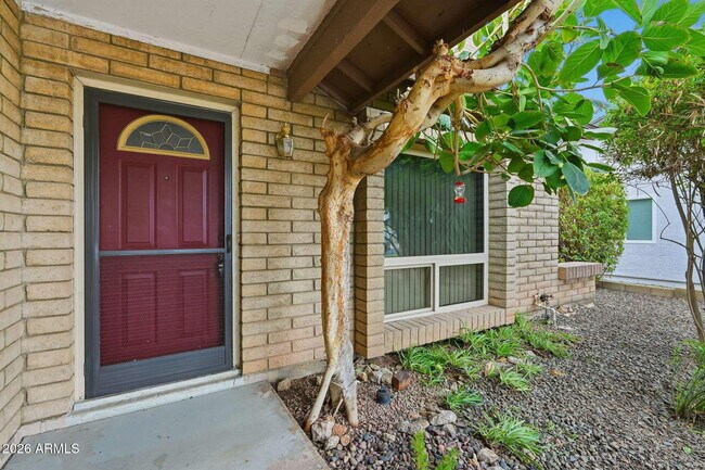 Building Photo - 1805 W Curry Dr