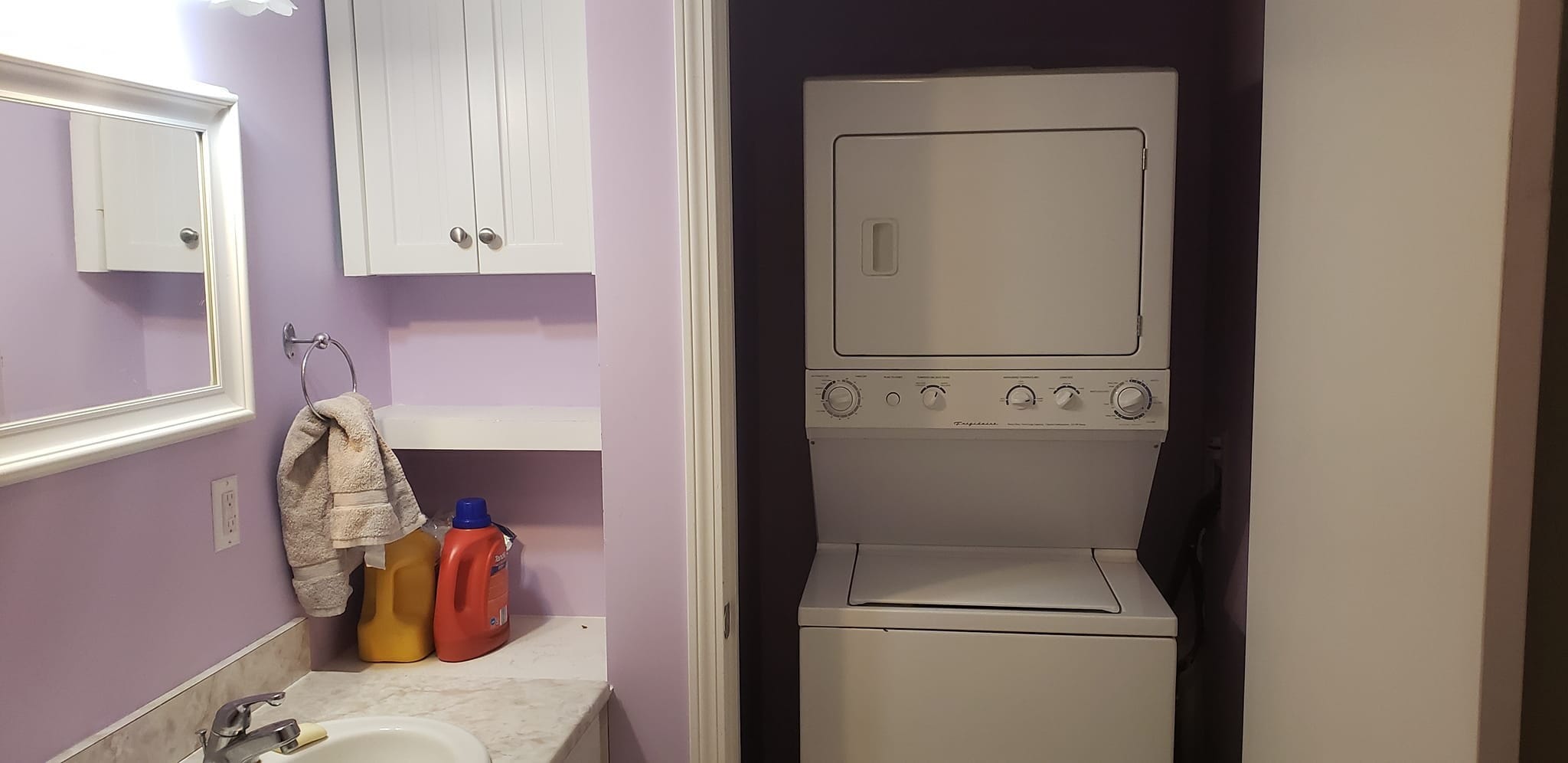 Laundry in Bathroom - 51 Carter Dr