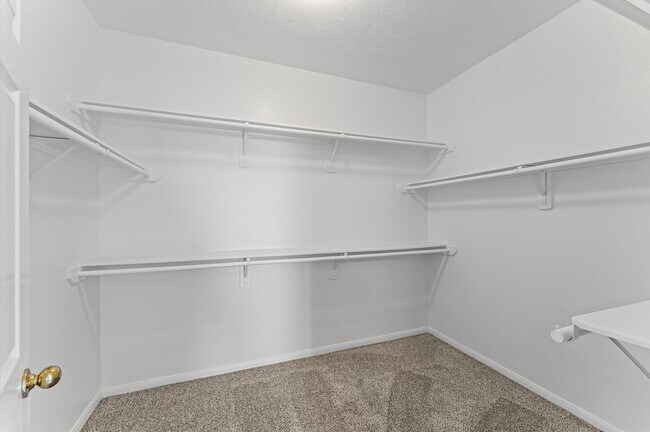 Building Photo - 19627 Brisbane Meadows Ct