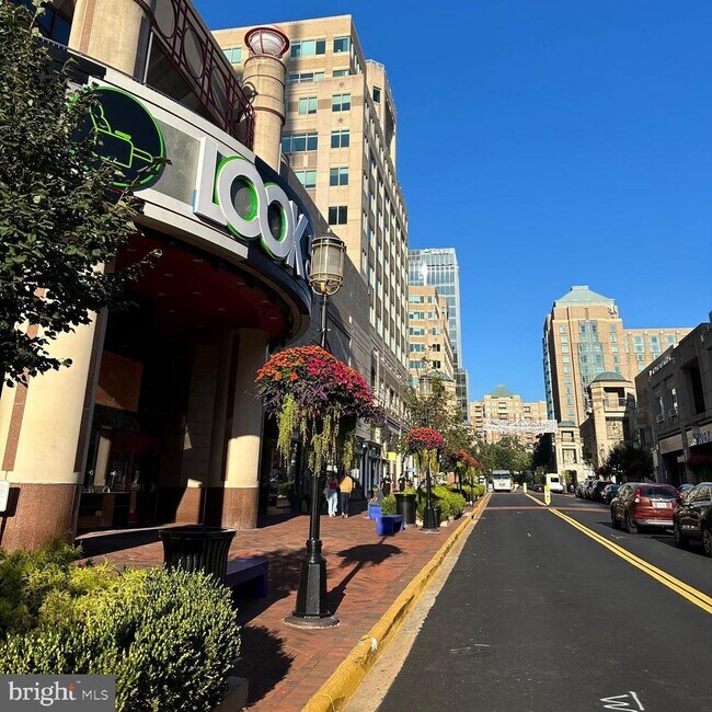 Building Photo - 1701 Lake Shore Crest Dr