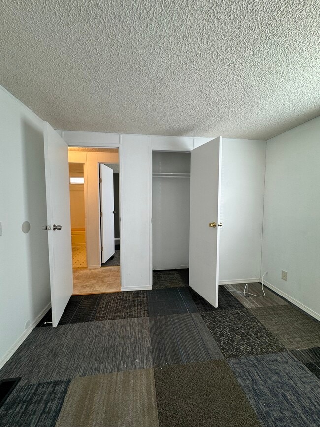 Bedroom 2 closet - 385 Dorman Ave