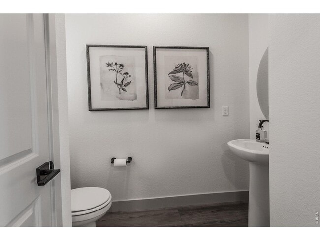 Building Photo - Newly constructed 4 Bed/2.5 Bath Single Family Home at Prairie Song in Windsor