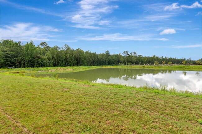 Building Photo - BRAND NEW CONSTRUCTION IN CARNES CROSSROADS - BE THE FIRST TO CALL IT HOME!