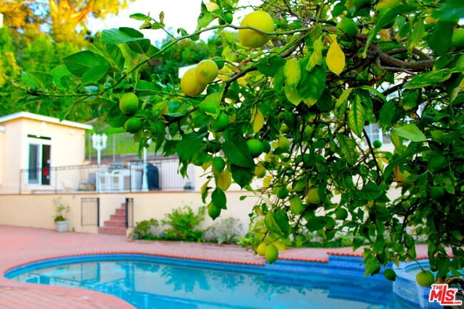 Building Photo - 11502 Dona Teresa Dr