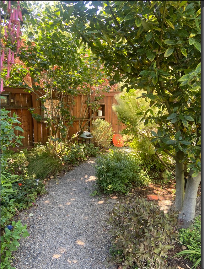 front yard - 4214 N Albina Ave