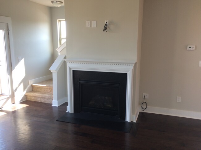 Fireplace - 420 Meritage St