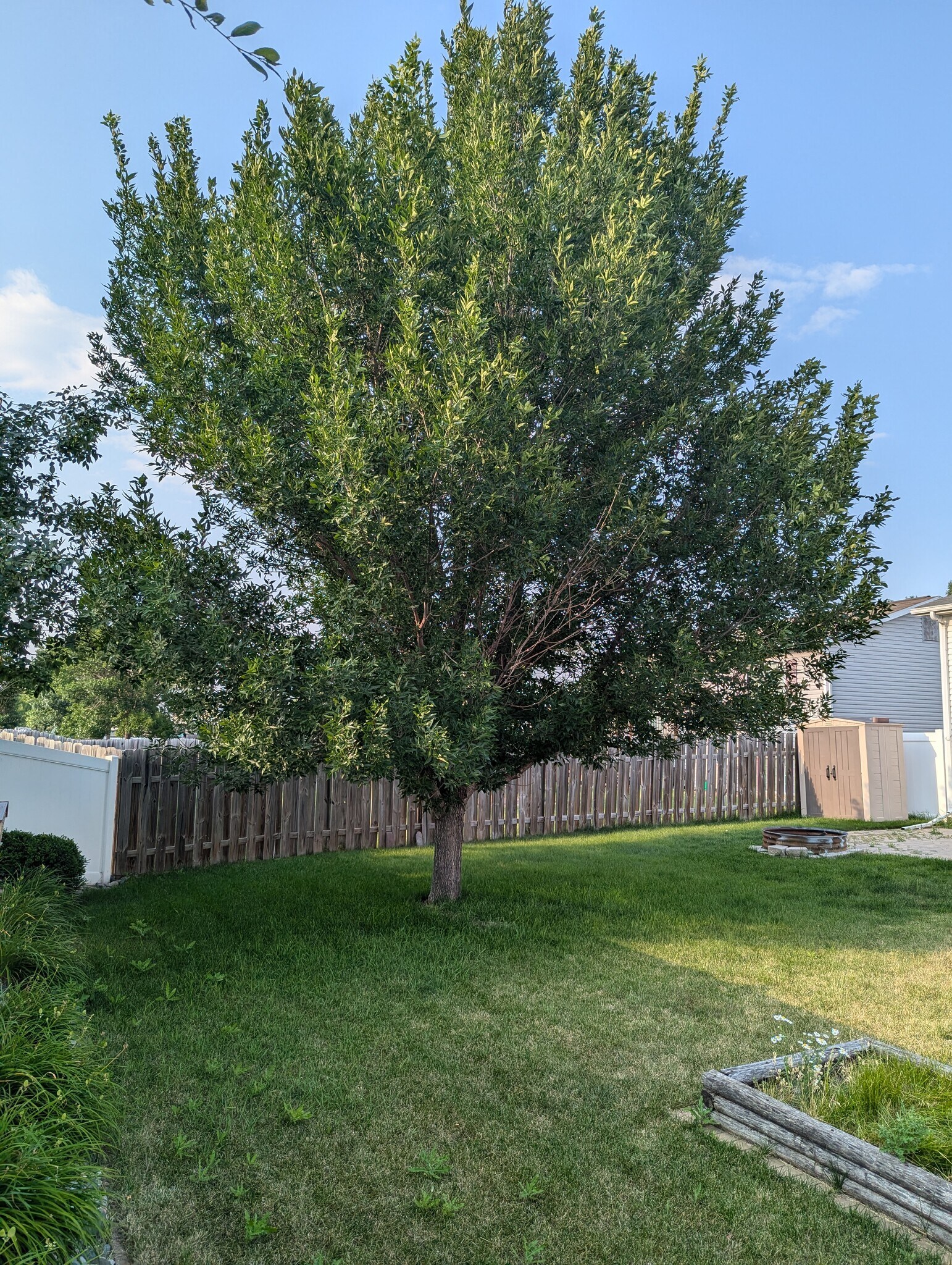 Building Photo - 1824 Huntington Ct