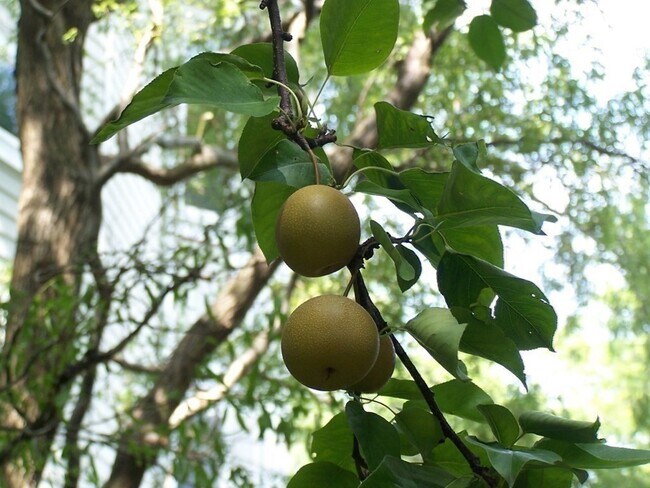 Building Photo - 89 University Rd