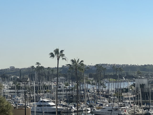 View - 4314 Marina City Dr