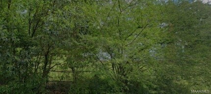 Building Photo - 3316 Branch St