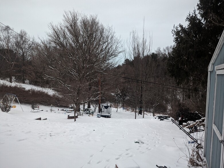 Back Yard - 1993 Washington St E