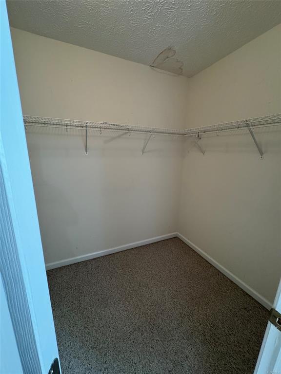 Building Photo - 33 JamesTown Loop