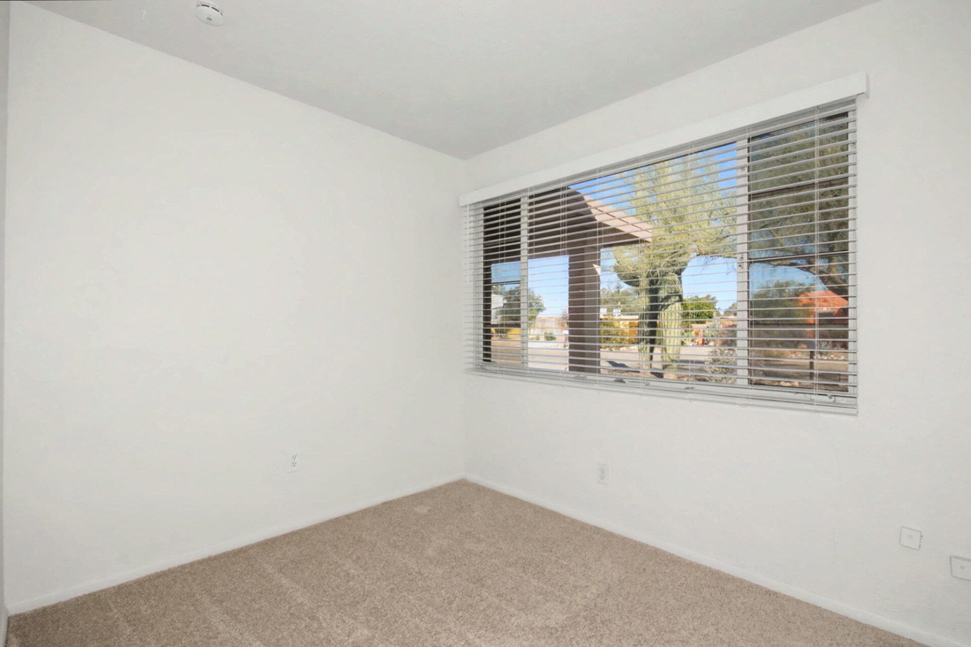 Bed 3 - 3926 E Camino de Palmas